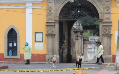 Mayo y Noviembre son los meses que han reportado la menor cantidad de fallecidos por Covid-19