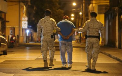 Detenido por transportar, sin permisos, ramillas de pinabete