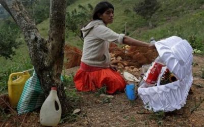 Guatemala: Aunque SESAN lo niega, relacionan muerte de niña a desnutrición