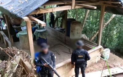 PNC erradica arbustos de coca y destruye narcolaboratorio