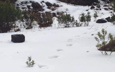 Impresionante caída de granizo en San Marcos