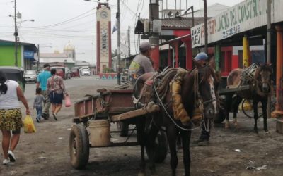 Nicaragua: expertos escépticos ante optimismo económico del gobierno