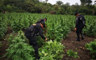 Melchor de Mencos de nuevo a escena, ahora por erradicación de mariguana