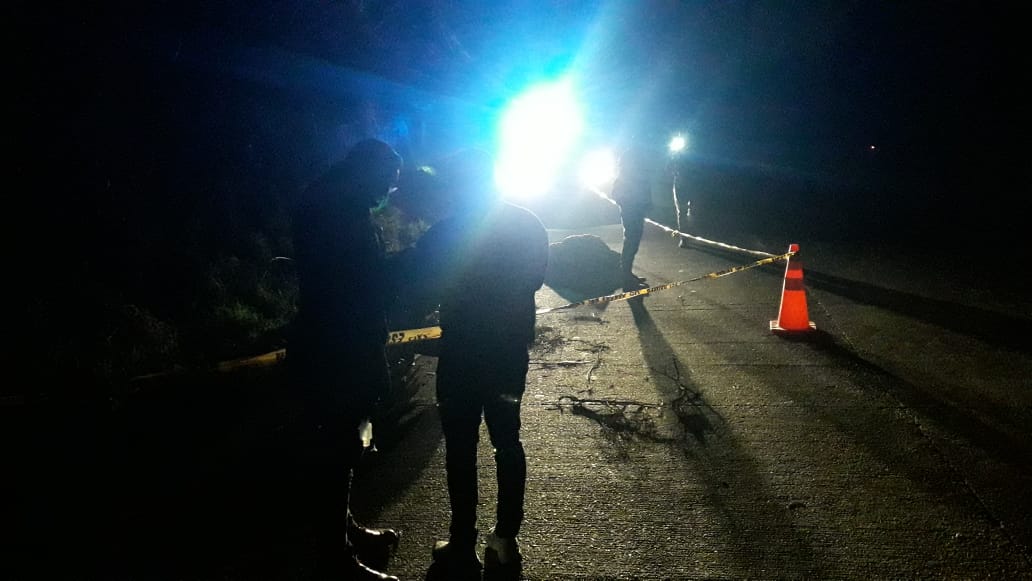 1e711b39-ad13-4d2a-90ed-b7521c10853f