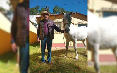 Vecino que rescata animales en Totonicapán denuncia intimidaciones