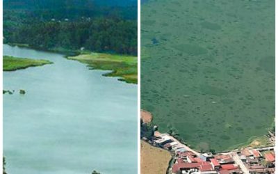 Así es el cambio drástico de la Laguna Chichoj en Alta Verapaz que preocupa a los pobladores