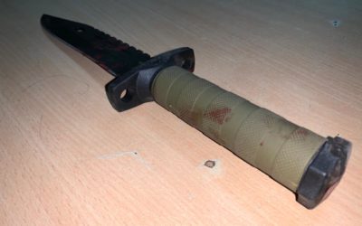 Mujer asesinó a su conviviente e hirió a primo que intentó defenderlo, reporta PNC