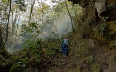 Conap: «La mayoría de incendios forestales son provocados por el hombre»