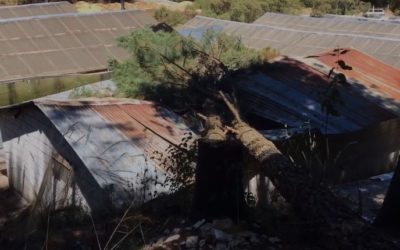 48 Cantones denuncia en el MP acciones de intimidación