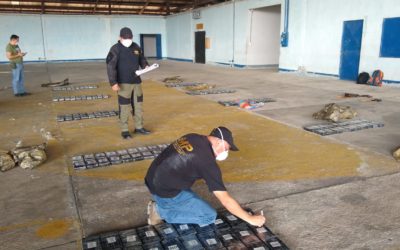 Droga localizada en Petén está valorada en más de Q23 millones