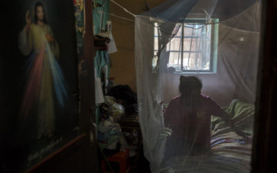 Malaria en Venezuela: De país pionero en la lucha contra la enfermedad a epicentro de contagio en América Latina