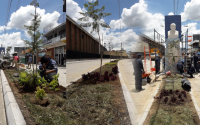 Plantan de nuevo arbolitos, remozan monumento y limpian la Calle Rodolfo Robles