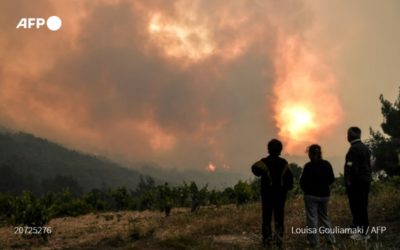 Grecia lucha contra incendio forestal, una “catástrofe ecológica” según expertos