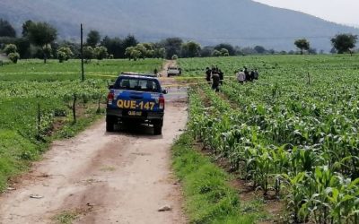 Localizan, entre una poza, el cadáver de una persona