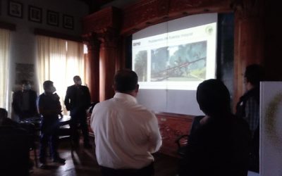 A qué atribuye la EEMQ los constantes cortes de energía eléctrica en Xela