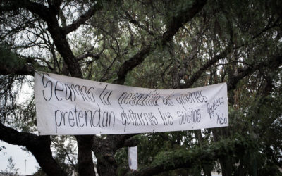 Ética y desarrollo para la reforma política y del estado