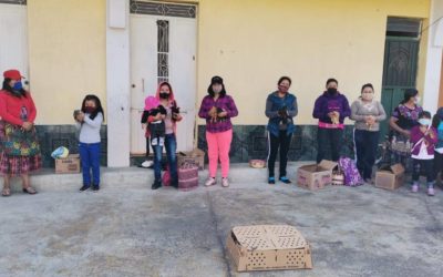 Regenerar la vida. La esperanza para niños y niñas con desnutrición en Guatemala