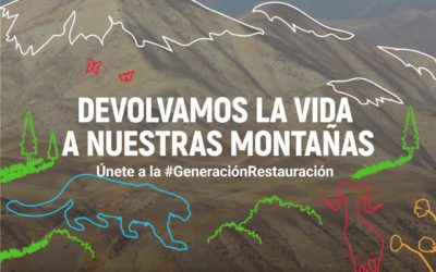 ¿Cuál es el lema del Día Mundial del Medio Ambiente?