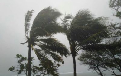 Tormenta tropical Elsa tocaría tierra a lo largo de la costa oeste de Florida