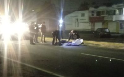 En el primer semestre han fallecido 277 personas arrolladas