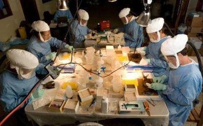 ¿Qué es el ‘virus de Marburgo’ que preocupa a la OMS?