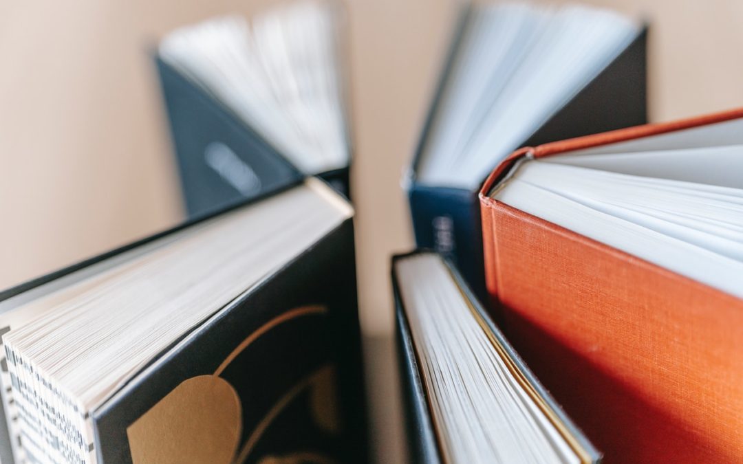 La formación y profesionalización tarea permanente de la Universidad