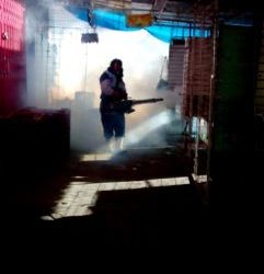 ¿Se cumplen protocolos de bioseguridad en el exterior del mercado La Democracia?