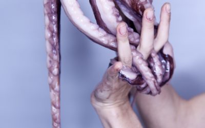 Los tentáculos de la corrupción