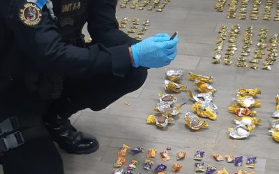 Agente K-9 localiza cocaína escondida dentro de dulces de chocolate que iban en paquetería a EE.UU.