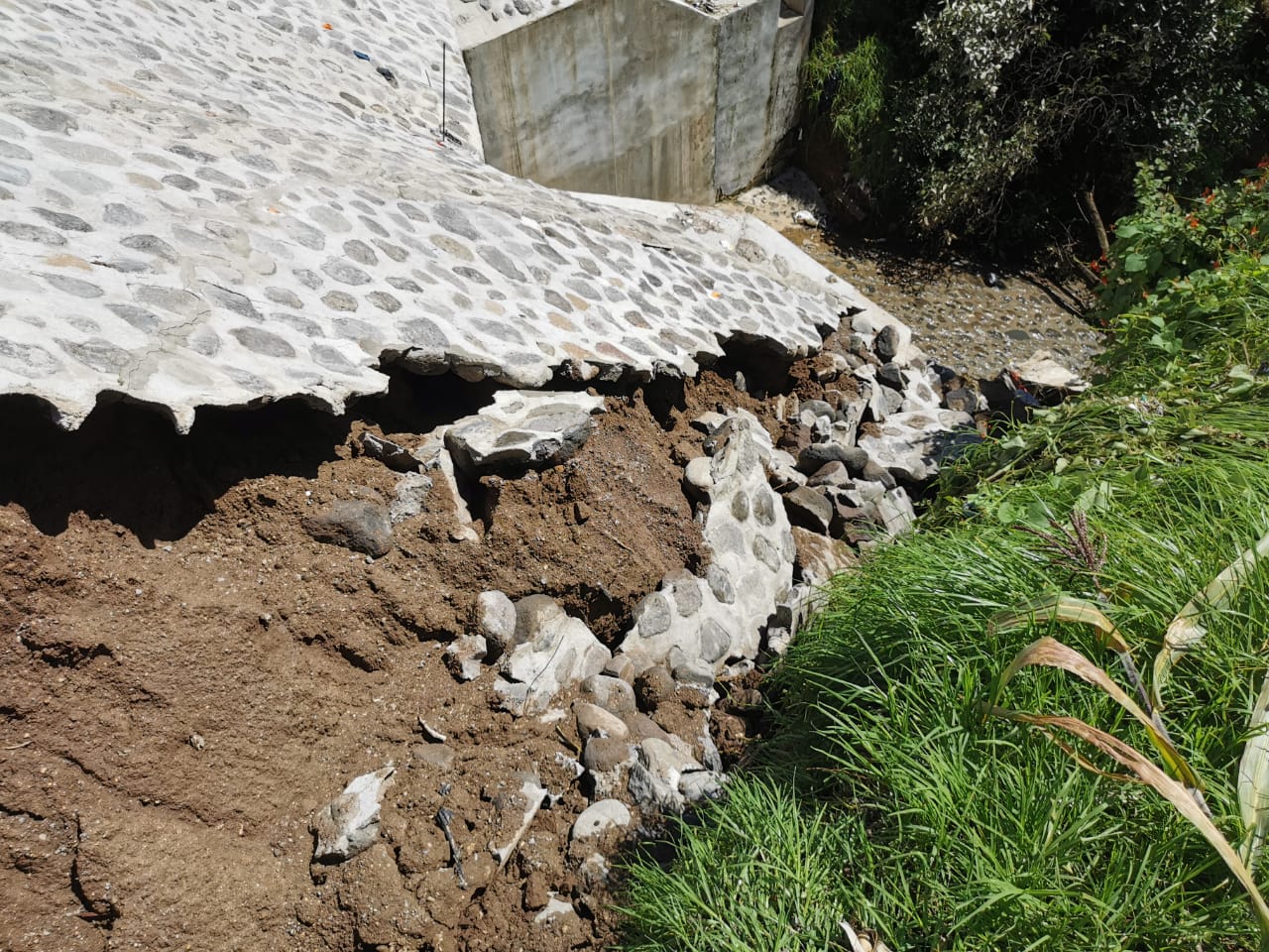 3669929a-41c5-4393-8af4-a222f3a94797