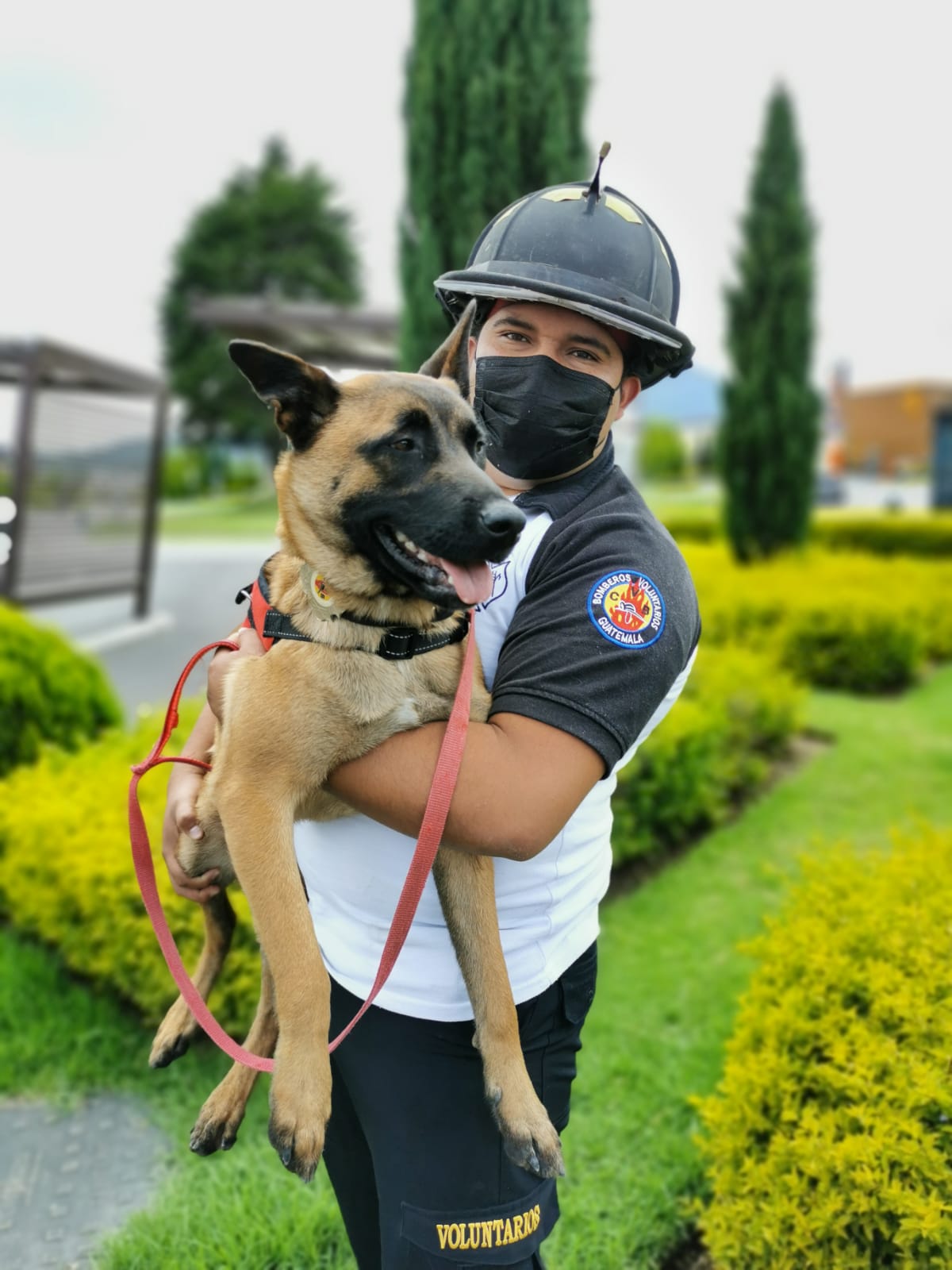 90dbe57a-4f8f-4aea-aed3-027d2acecc4b