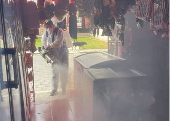 Desarrollan jornadas gratuitas de desinfección