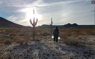 México ha recuperado los cadáveres de 46 migrantes en lo que va de año