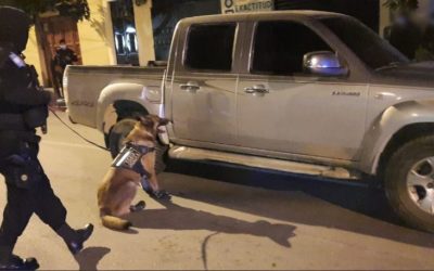 Localizan cocaína en vehículo con reporte de robo