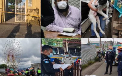 Allanamientos, ataque armado, captura de abogado y rescate de perros en la jornada de este 28 de septiembre