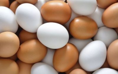 Hoy es el Día Mundial del Huevo, ¿Por qué debemos consumir este alimento?