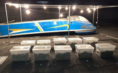 Localizan en una lancha más de 650 kilos de cocaína