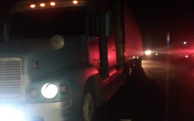 «Coyotes» abandonan en un contenedor a 126 migrantes