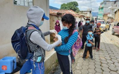 Iniciarán vacunación de perros en Totonicapán