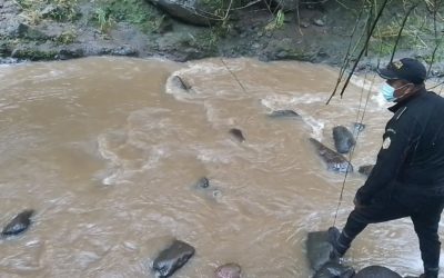 Buscan a tres personas que fueron arrastradas por río
