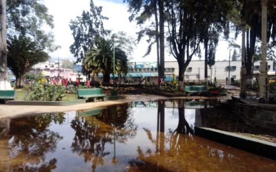 Autoridades creen que lluvia y edad de árboles, son factores de riesgo aumentado estos días en Xela