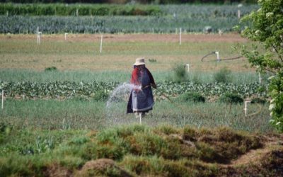 Municipalidad de Almolonga recomienda a agricultores, vacunarse contra el COVID-19