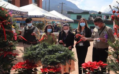 Ya se conocen fechas para la Feria del Pinabete 2021 en Xela