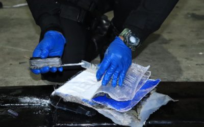 Localizan droga en Puerto Santo Tomás de Castilla valorado en más de Q63 millones