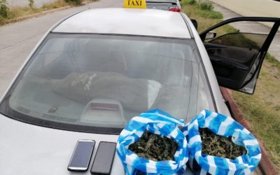 Encuentran marihuana en taxi que llegó a la Granja Penal Cantel