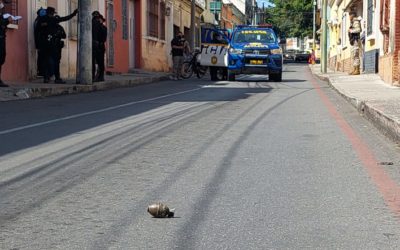 Así fue como Técnicos de Explosivos de la PNC destruyeron la granada que fue lanzada por delincuentes a policías en la zona 2 capitalina.