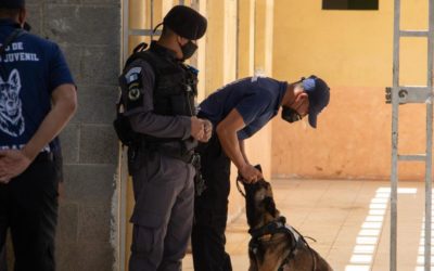 Incautan drogas que pretendían ingresar a un centro juvenil de privación de libertad