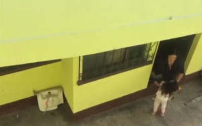 Denuncian a mujer por maltrato a una menor