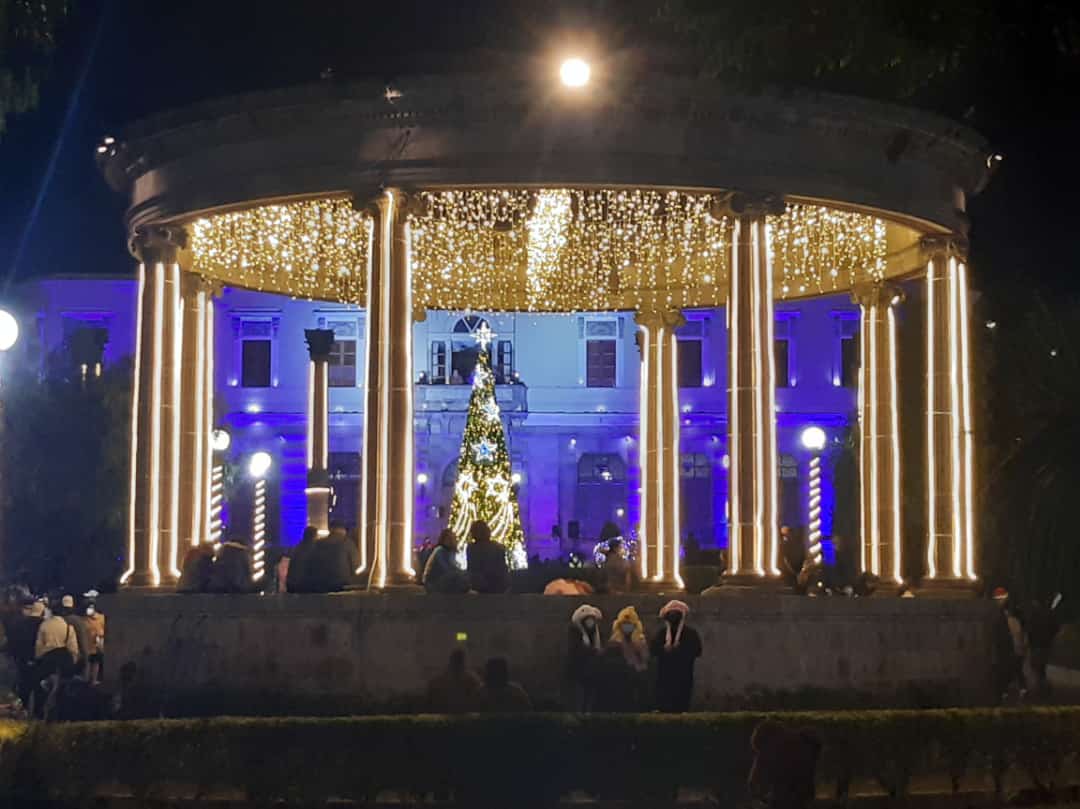 WhatsApp Image 2021-11-18 at 19.28.10 (2)