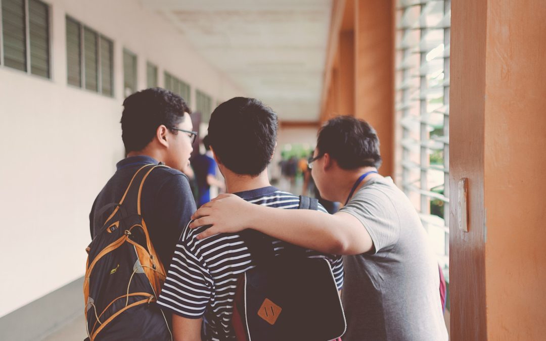 LA EDUCACIÓN SUPERIOR COMO TRAMA DE LA FELICIDAD